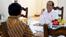 Jokowi, PSI–Gerindra, dan Nested Games Menuju 2029