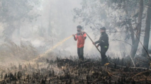 kebakaran hutan Kalimantan karhutla