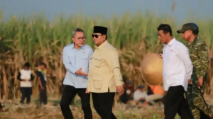 Zulhas Klaim Prabowo-Gibran Capai Swasembada 8 Komoditas dalam 2 Tahun